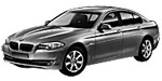 BMW F10 P257B Fault Code